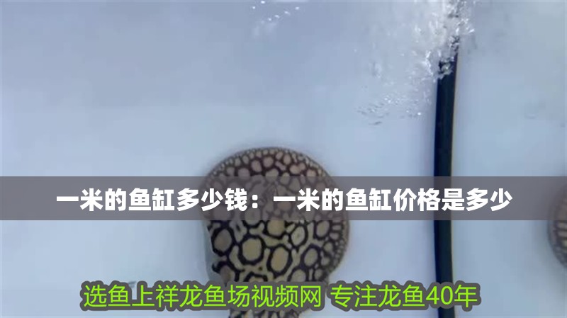 一米的魚缸多少錢：一米的魚缸價格是多少
