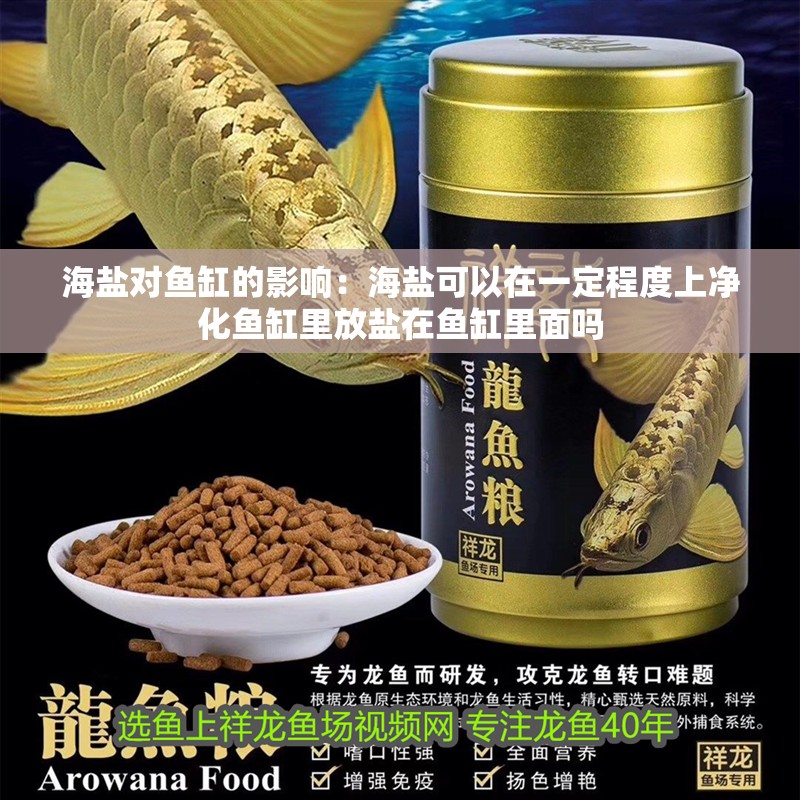 海鹽對魚缸的影響：海鹽可以在一定程度上凈化魚缸里放鹽在魚缸里面嗎