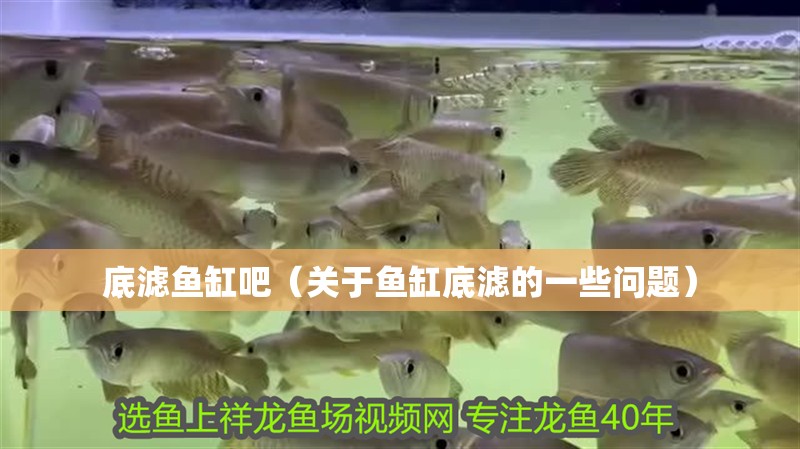 底濾魚缸吧（關(guān)于魚缸底濾的一些問題）