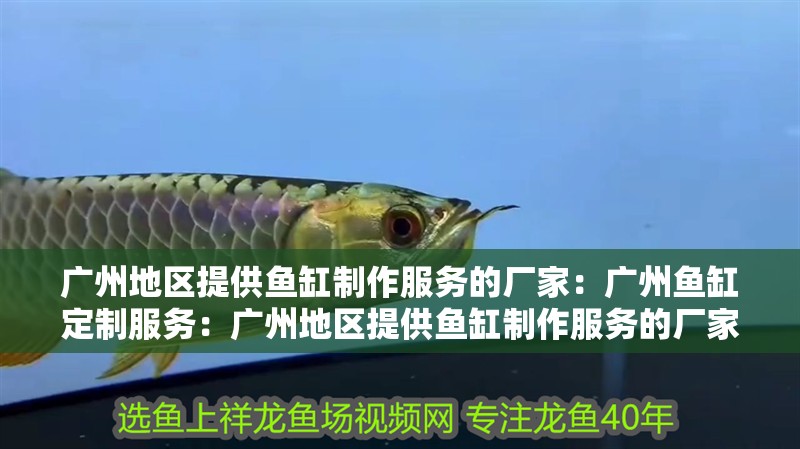 廣州地區提供魚缸制作服務的廠家：廣州魚缸定制服務：廣州地區提供魚缸制作服務的廠家