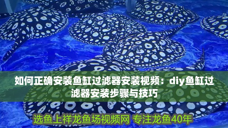 如何正確安裝魚缸過濾器安裝視頻：diy魚缸過濾器安裝步驟與技巧