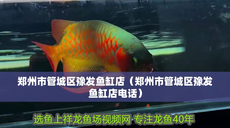 鄭州市管城區豫發魚缸店（鄭州市管城區豫發魚缸店電話）