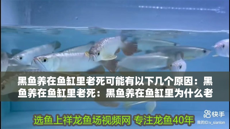 黑魚養(yǎng)在魚缸里老死可能有以下幾個(gè)原因：黑魚養(yǎng)在魚缸里老死：黑魚養(yǎng)在魚缸里為什么老死