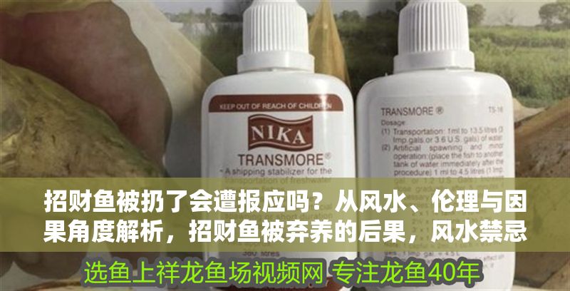 招財魚被扔了會遭報應嗎？從風水、倫理與因果角度解析，招財魚被棄養的后果，風水禁忌、倫理反思與因果報應探析