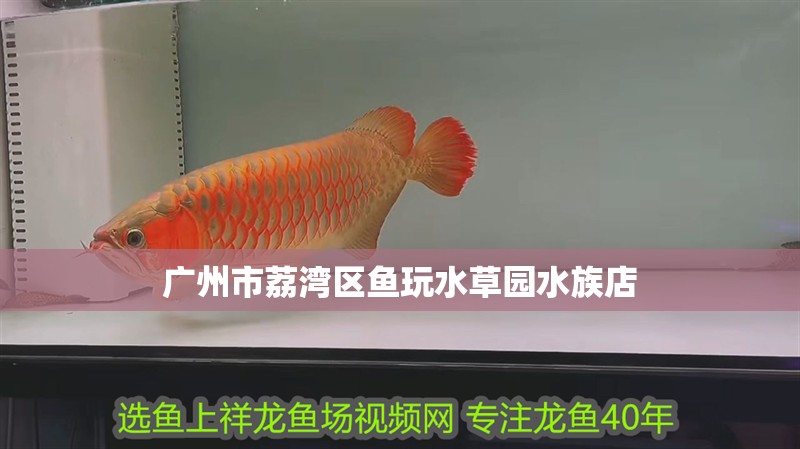 廣州市荔灣區魚玩水草園水族店
