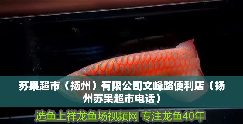 蘇果超市（揚(yáng)州）有限公司文峰路便利店（揚(yáng)州蘇果超市電話）