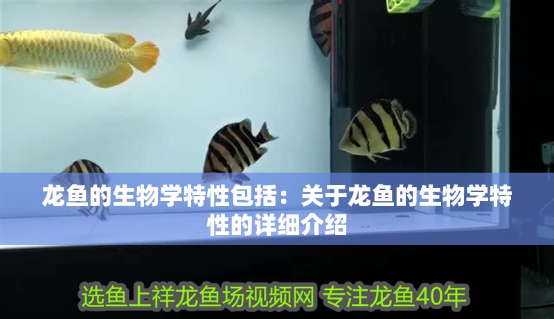 龍魚的生物學(xué)特性包括：關(guān)于龍魚的生物學(xué)特性的詳細(xì)介紹