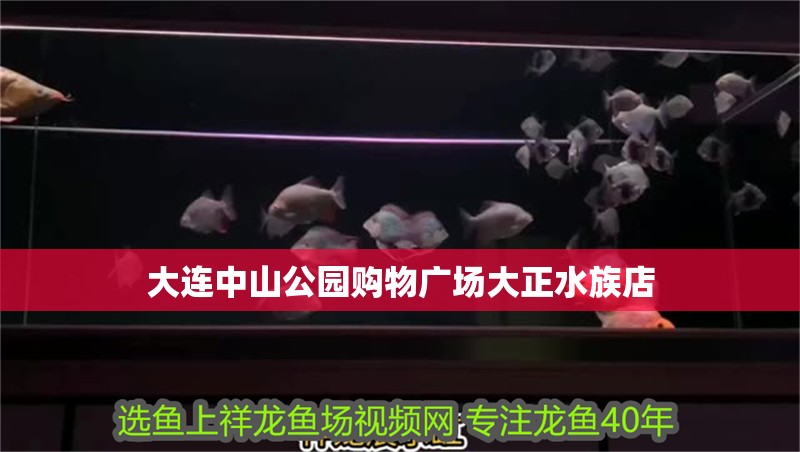 大連<strong><mark>中山</mark></strong>公園購物廣場大正水族店