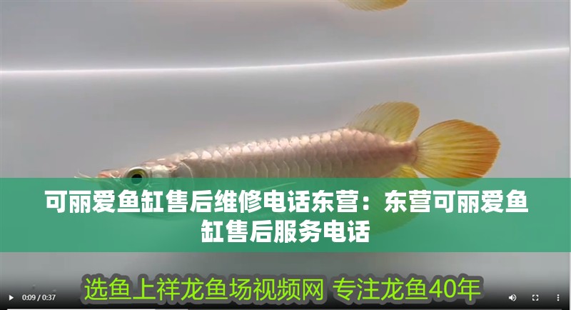 可麗愛魚缸售后維修電話東營：東營可麗愛魚缸售后服務電話