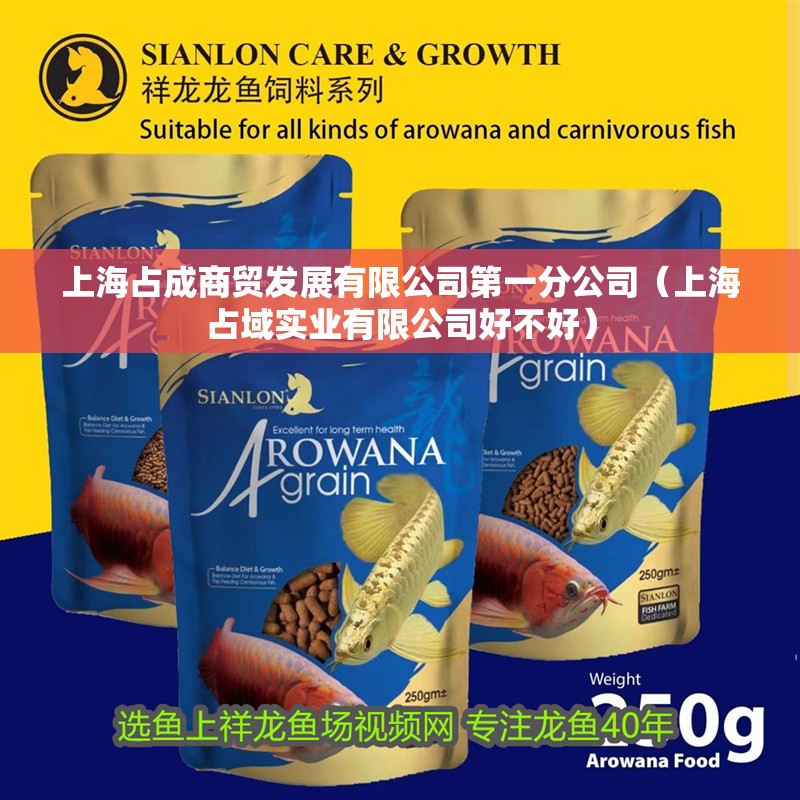 上海占成商貿(mào)發(fā)展有限公司第一分公司（上海占域?qū)崢I(yè)有限公司好不好）