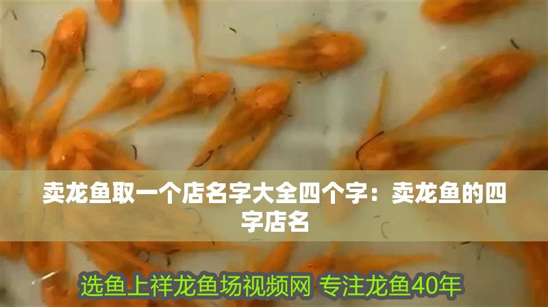 賣龍魚取一個店名字大全四個字：賣龍魚的四字店名