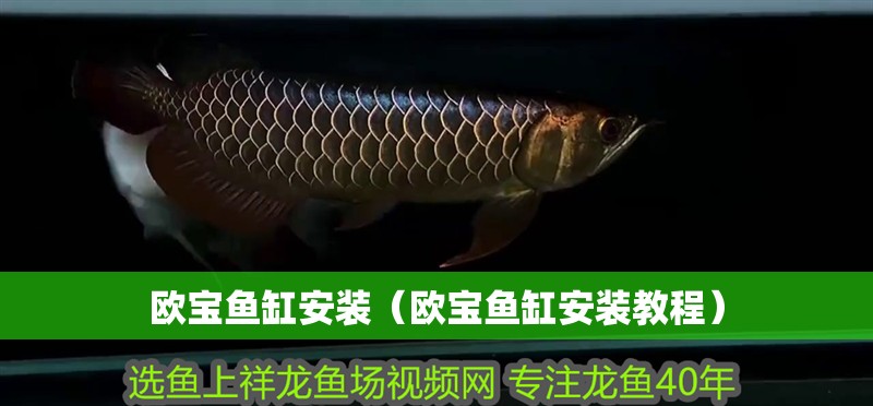 歐寶魚缸安裝（歐寶魚缸安裝教程）