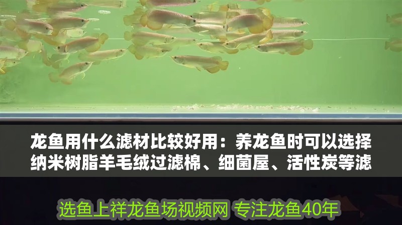 龍魚用什么濾材比較好用：養龍魚時可以選擇納米樹脂羊毛絨過濾棉、細菌屋、活性炭等濾材