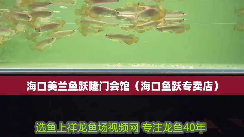 海口美蘭魚躍隆門會館（海口魚躍專賣店）