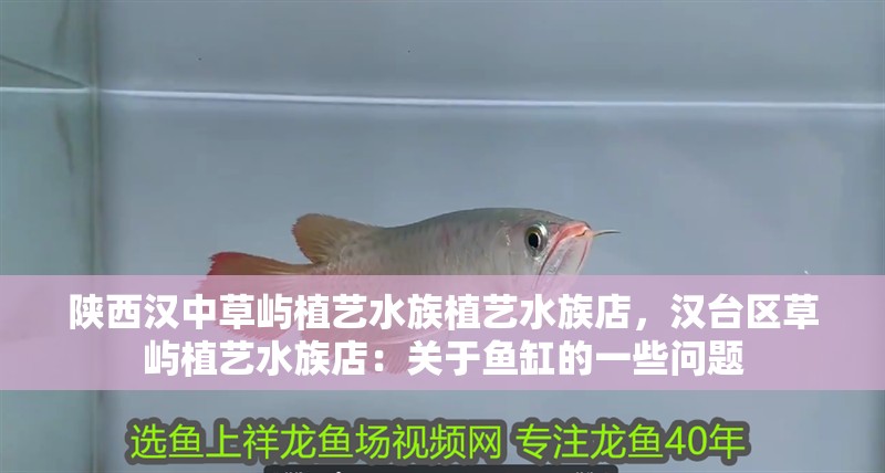 陜西漢中草嶼植藝水族植藝水族店，漢臺區(qū)草嶼植藝水族店：關(guān)于魚缸的一些問題