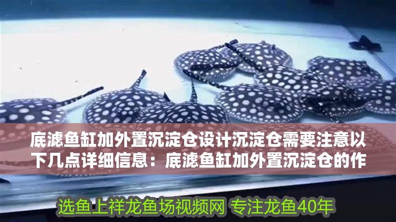 底濾魚缸加外置沉淀倉設計沉淀倉需要注意以下幾點詳細信息：底濾魚缸加外置沉淀倉的作用