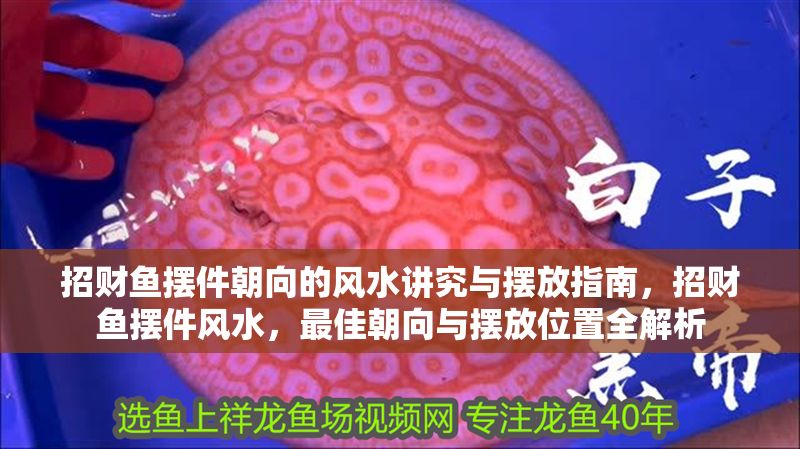 招財(cái)魚擺件朝向的風(fēng)水講究與擺放指南，招財(cái)魚擺件風(fēng)水，最佳朝向與擺放位置全解析