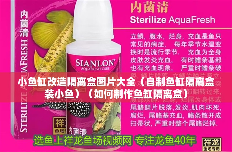 小魚缸改造隔離盒圖片大全（自制魚缸隔離盒裝小魚）（如何制作魚缸隔離盒）