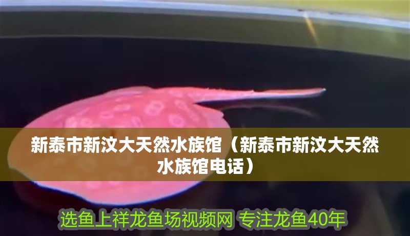 新泰市新汶大天然水族館（新泰市新汶大天然水族館電話）