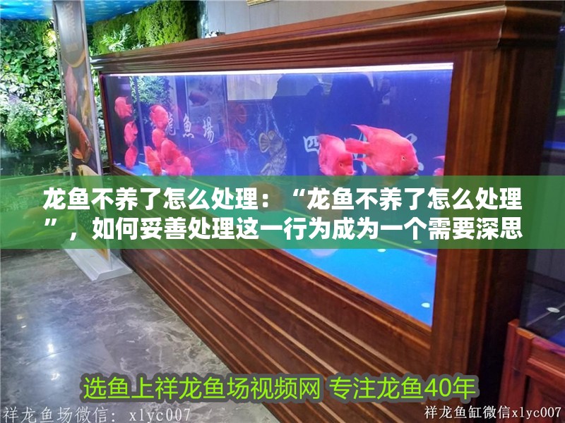 龍魚不養了怎么處理：“龍魚不養了怎么處理”，如何妥善處理這一行為成為一個需要深思熟慮的問題