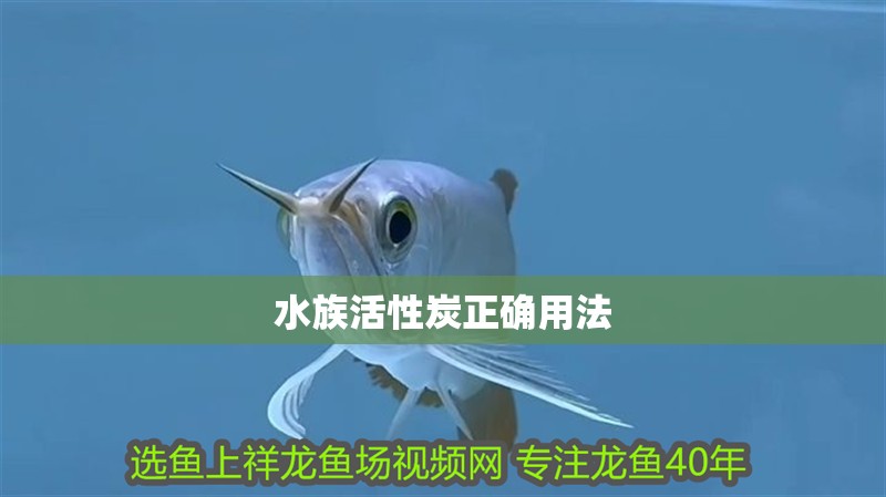 水族活性炭正確用法