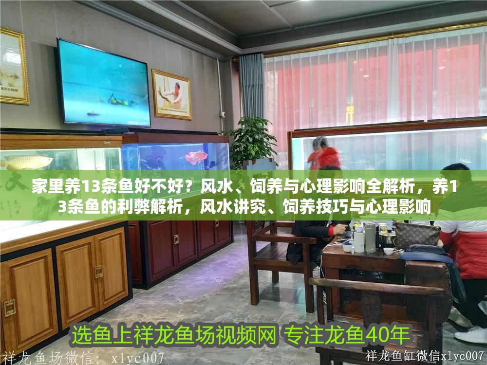 家里養13條魚好不好？風水、飼養與心理影響全解析，養13條魚的利弊解析，風水講究、飼養技巧與心理影響