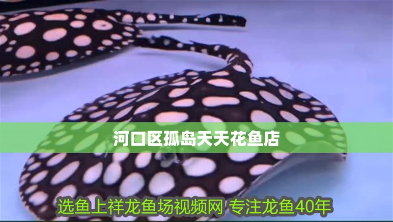 <strong><mark>河口</mark></strong>區孤島天天花魚店