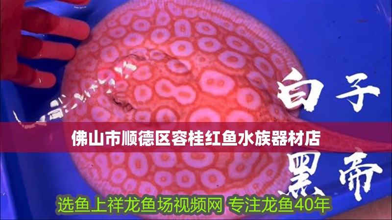 佛山市順德區(qū)容桂紅魚水族器材店
