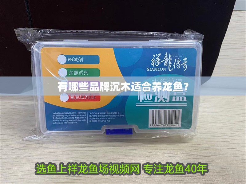 有哪些品牌沉木適合養龍魚？
