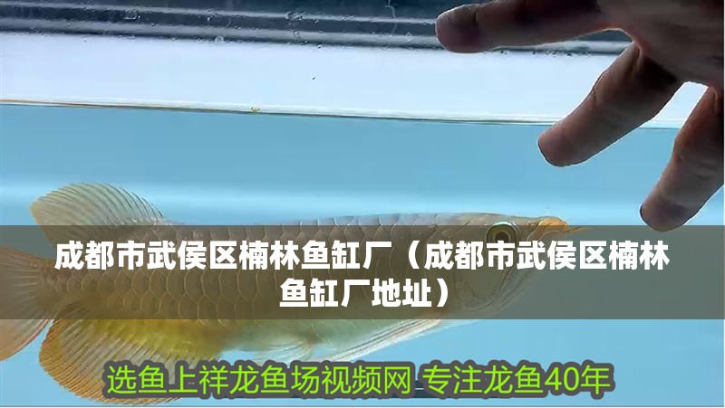 成都市武侯區楠林魚缸廠（成都市武侯區楠林魚缸廠地址）