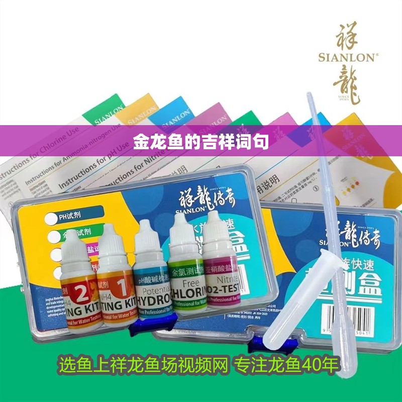 金龍魚的吉祥詞句