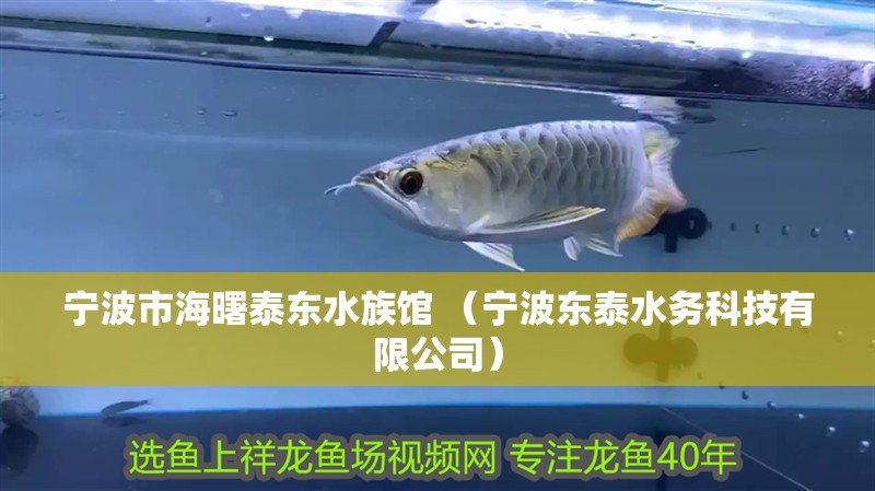 寧波市海曙泰東水族館 （寧波東泰水務(wù)科技有限公司）
