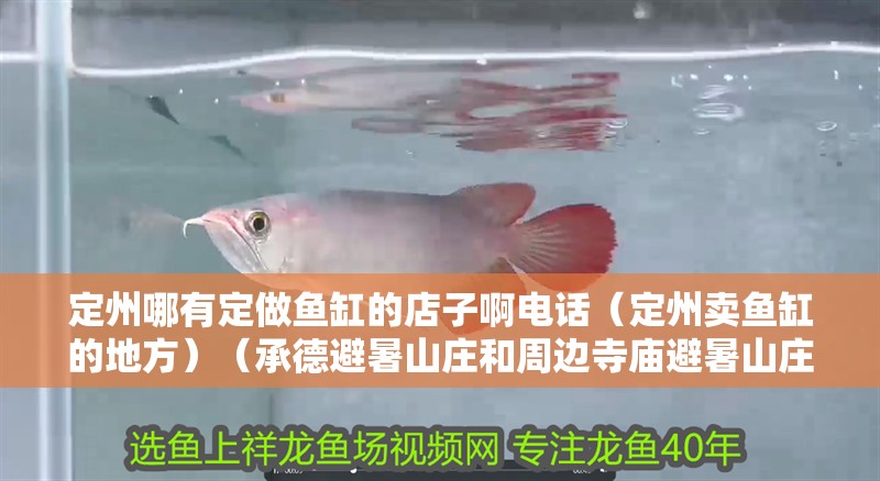 定州哪有定做魚缸的店子啊電話（定州賣魚缸的地方）（承德避暑山莊和周邊寺廟避暑山莊和周邊寺廟避暑山莊）