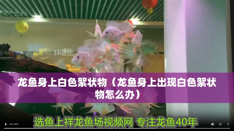 龍魚身上白色絮狀物（龍魚身上出現白色絮狀物怎么辦）