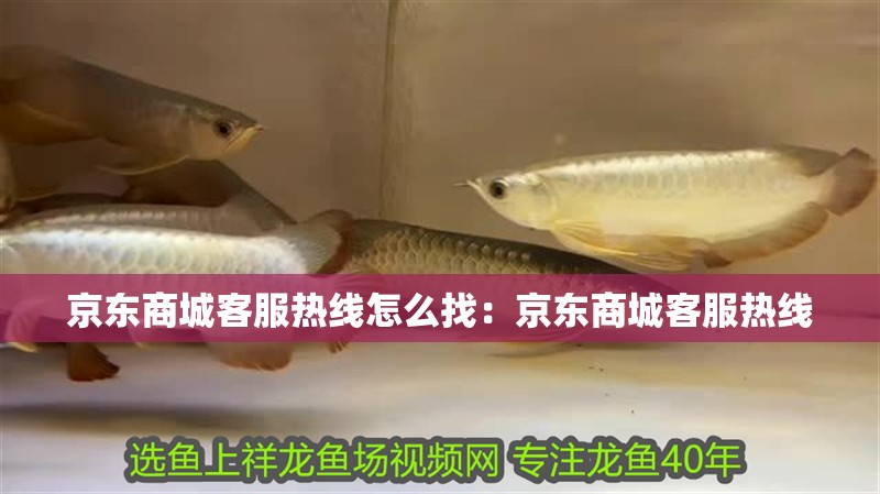 京東商城客服熱線怎么找：京東商城客服熱線