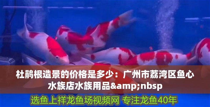杜鵑根造景的價格是多少：廣州市荔灣區魚心水族店水族用品&nbsp