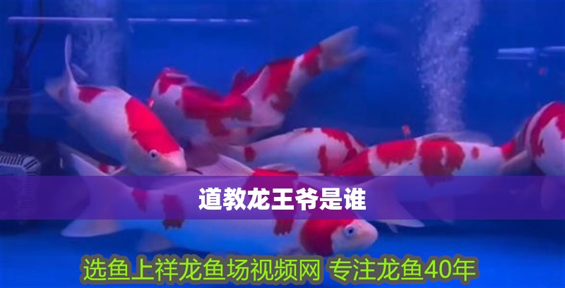 道教龍王爺是誰
