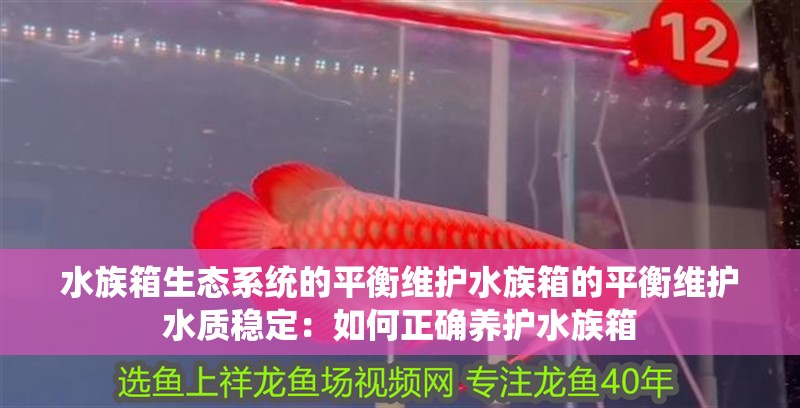 水族箱生態系統的平衡維護水族箱的平衡維護水質穩定：如何正確養護水族箱