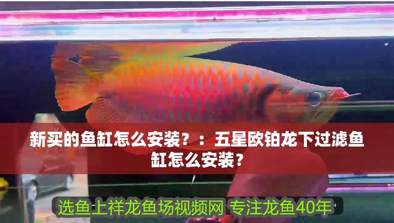 新買的魚缸怎么安裝？：五星歐鉑龍下過濾魚缸怎么安裝？