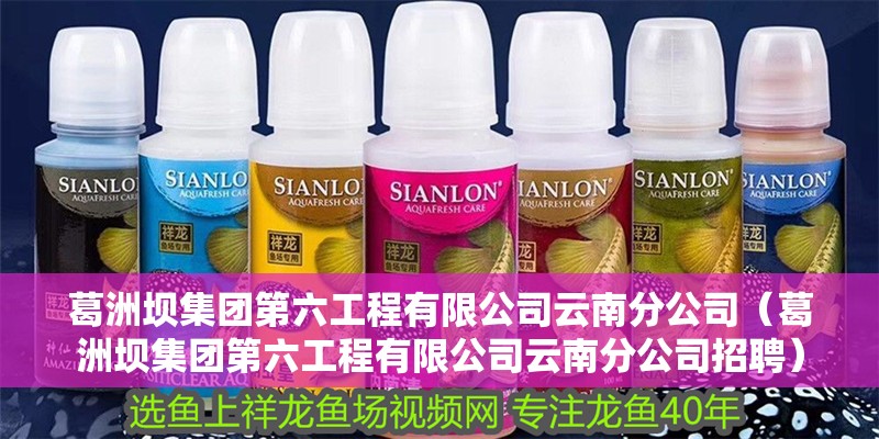 葛洲壩集團第六工程有限公司云南分公司（葛洲壩集團第六工程有限公司云南分公司招聘）
