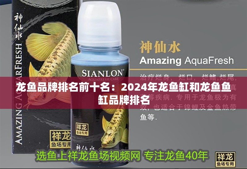 龍魚(yú)品牌排名前十名：2024年龍魚(yú)缸和龍魚(yú)魚(yú)缸品牌排名