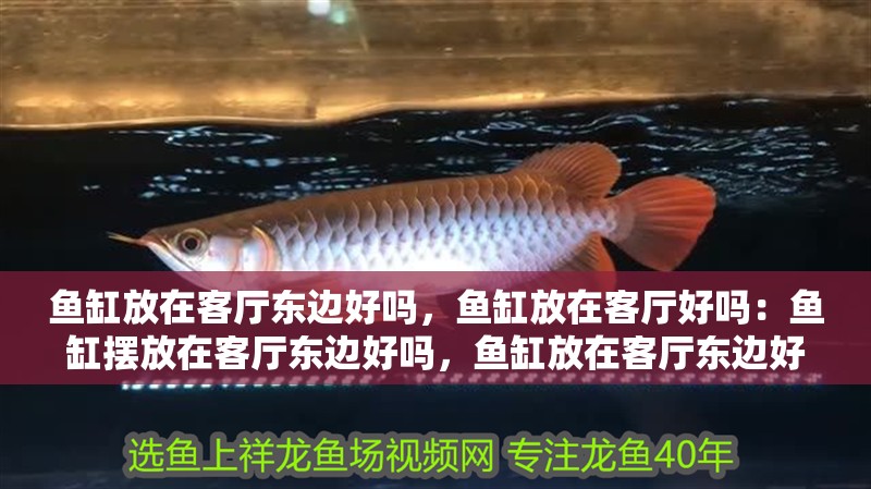 魚缸放在客廳東邊好嗎，魚缸放在客廳好嗎：魚缸擺放在客廳東邊好嗎，魚缸放在客廳東邊好嗎，魚缸放在客廳好嗎