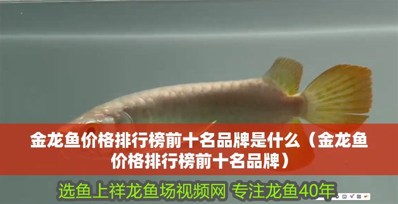 金龍魚價格排行榜前十名品牌是什么（金龍魚價格排行榜前十名品牌）
