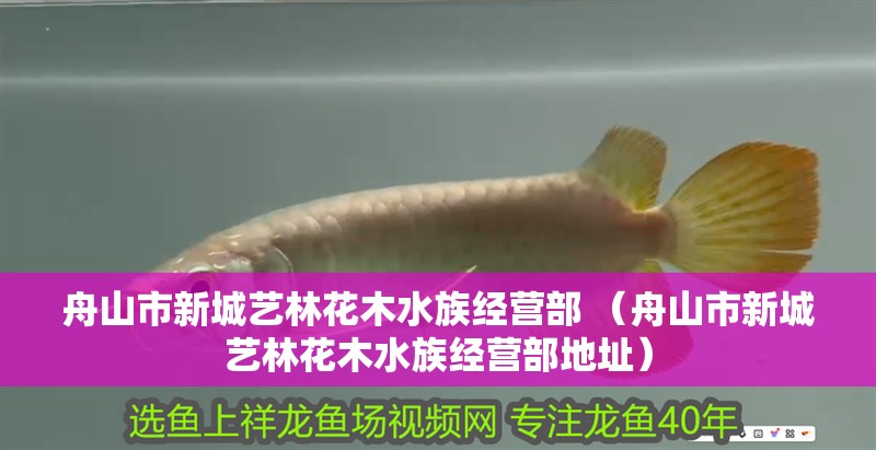 <strong><mark>舟山</mark></strong>市新城藝林花木水族經(jīng)營部 （<strong><mark>舟山</mark></strong>市新城藝林花木水族經(jīng)營部地址）