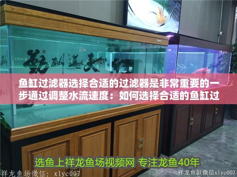 魚缸過濾器選擇合適的過濾器是非常重要的一步通過調整水流速度：如何選擇合適的魚缸過濾器