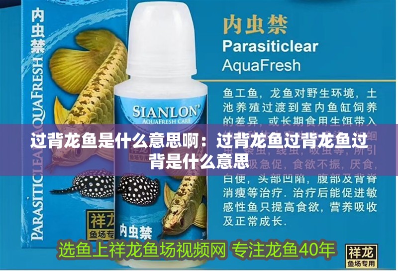 過(guò)背龍魚(yú)是什么意思啊：過(guò)背龍魚(yú)過(guò)背龍魚(yú)過(guò)背是什么意思