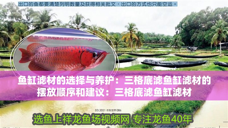魚缸濾材的選擇與養護：三格底濾魚缸濾材的擺放順序和建議：三格底濾魚缸濾材
