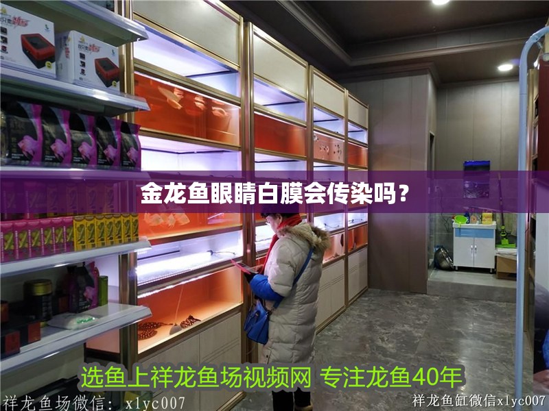 金龍魚眼睛白膜會(huì)傳染嗎？ 金龍魚眼睛白膜會(huì)傳染嗎？ 龍魚論壇