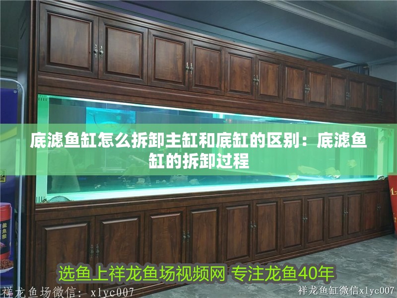 底濾魚缸怎么拆卸主缸和底缸的區別：底濾魚缸的拆卸過程
