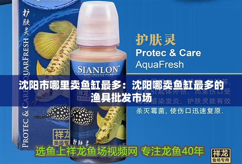沈陽市哪里賣魚缸最多：沈陽哪賣魚缸最多的漁具批發(fā)市場